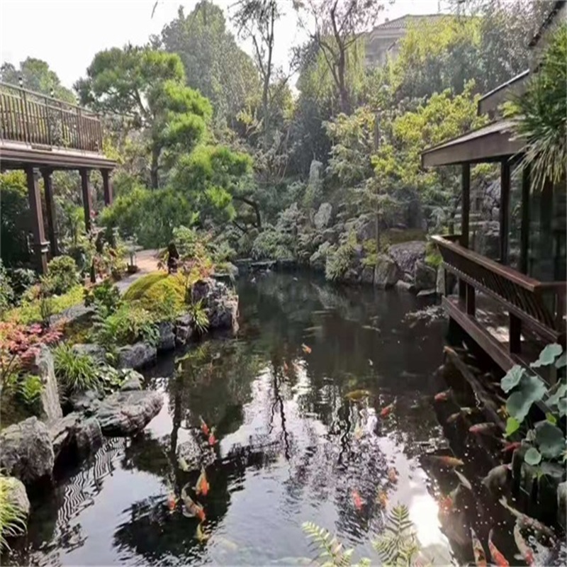 郑场镇假山植物小鱼池
